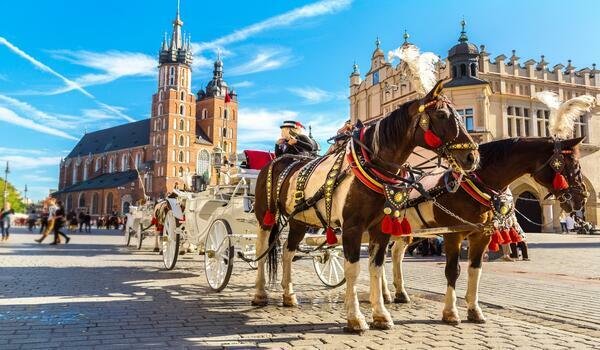  Polska - Kraków i okolice