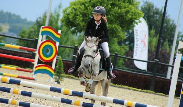  Zakrzów - kurs jazdy konnej SPORT PRO - Indywidualny rozwój jeździecki