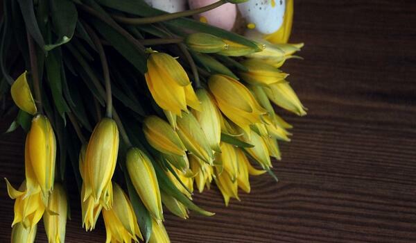  Białka Tatrzańska - Ośrodek Wypoczynkowy GROŃ - Wielkanoc (NA ZAPYTANIE)